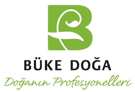 Çim Alan Neden Sararır? Sulama, Toprak ve Hastalık Kontrolü